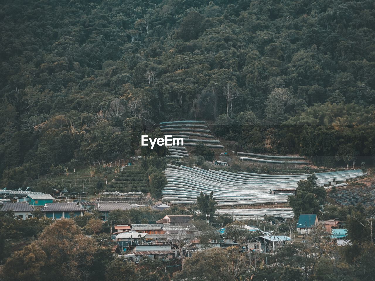 High angle view of trees and buildings in city