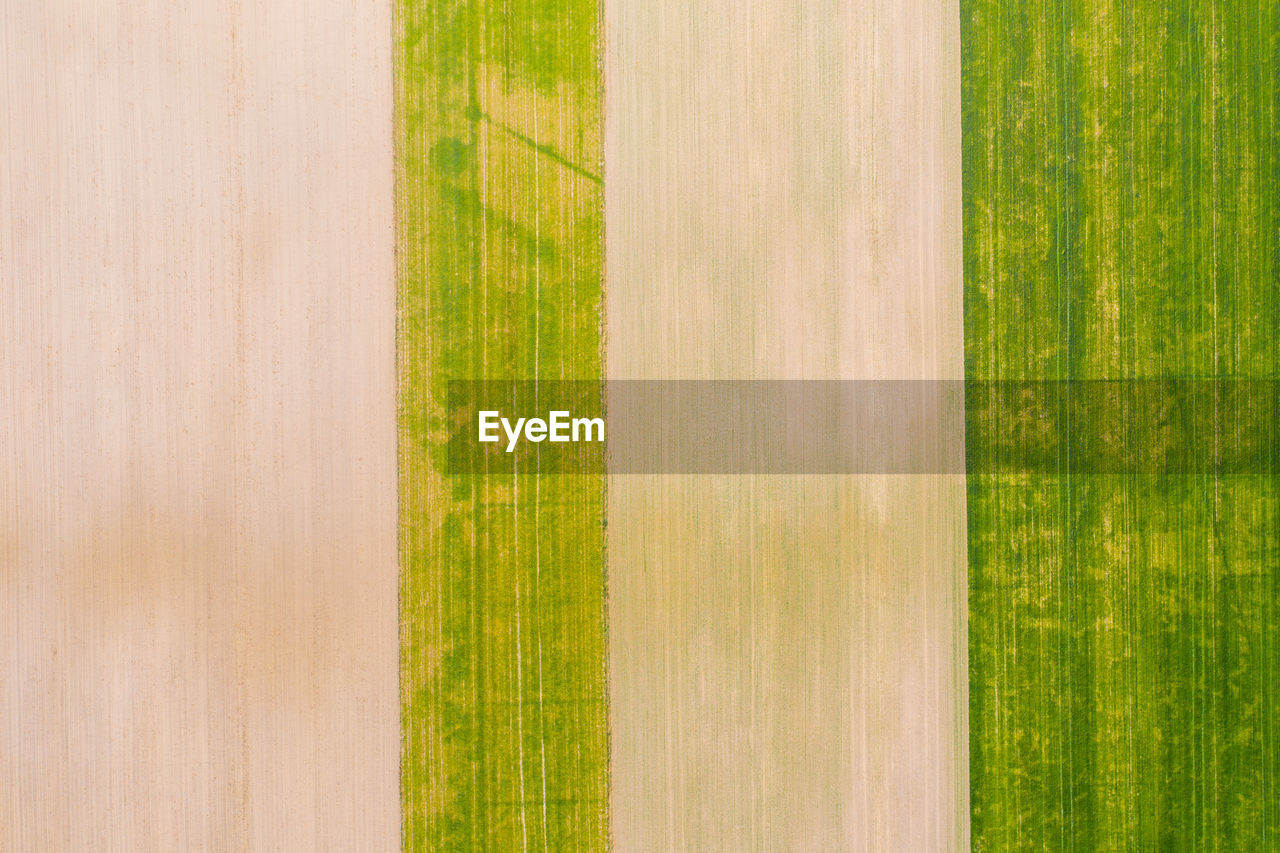 Vertical stripes of agricultural parcels of different crops. aerial view shoot from above field