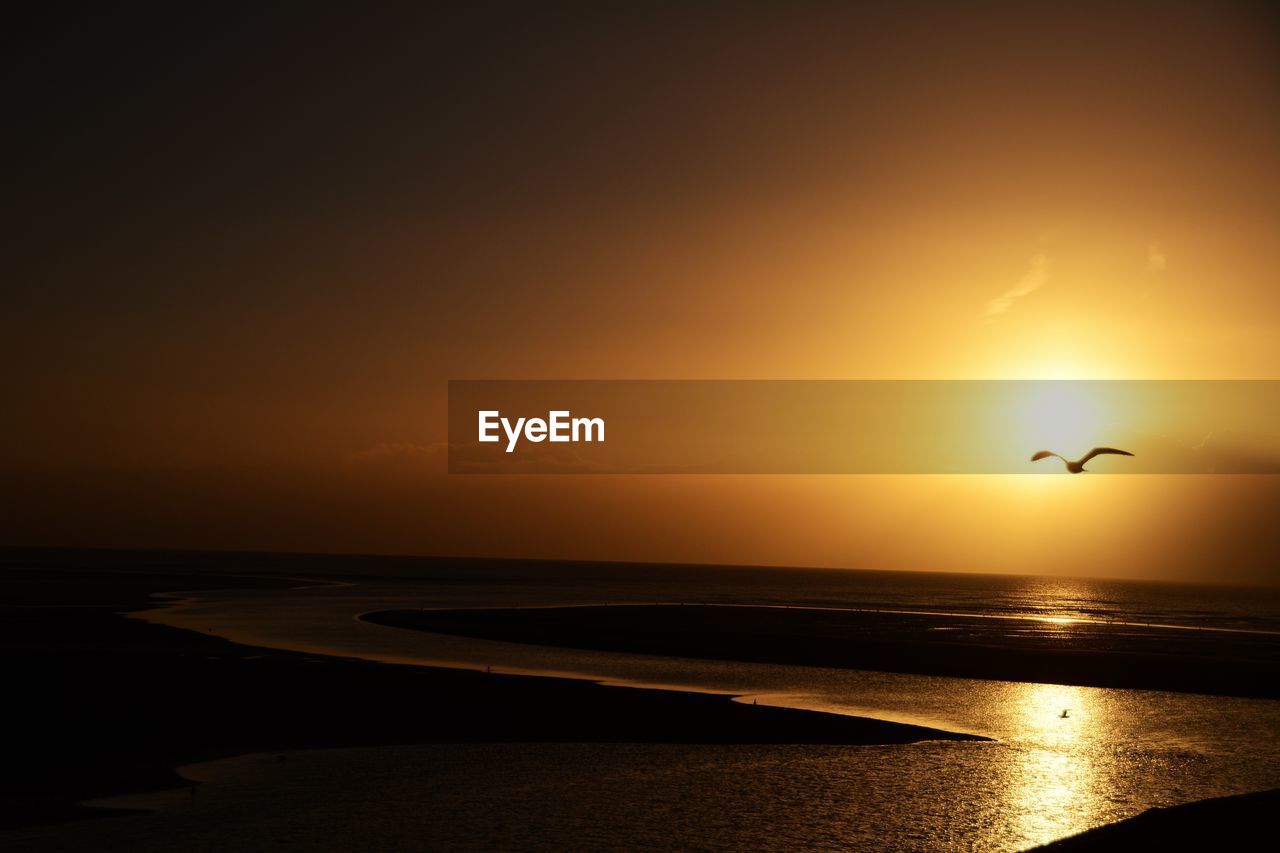 SILHOUETTE BIRD FLYING OVER BEACH AGAINST SKY DURING SUNSET