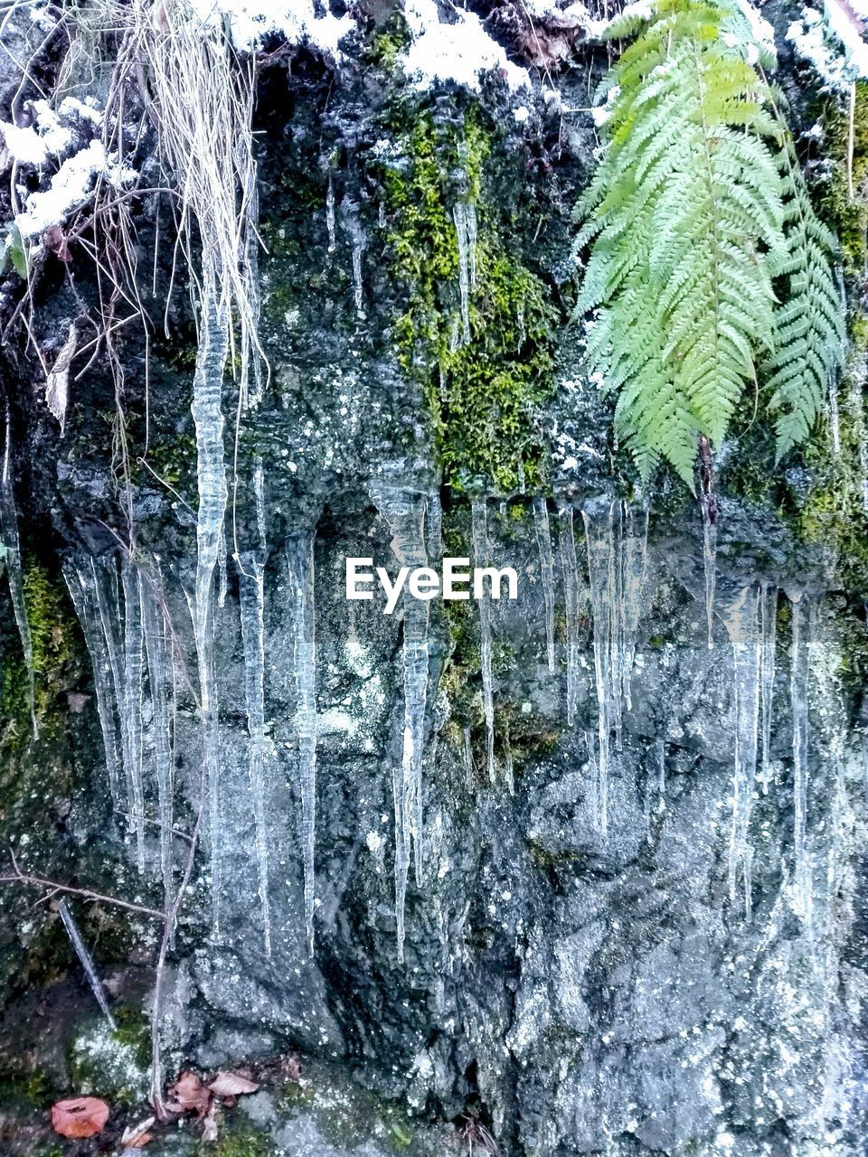 PANORAMIC SHOT OF WATERFALL