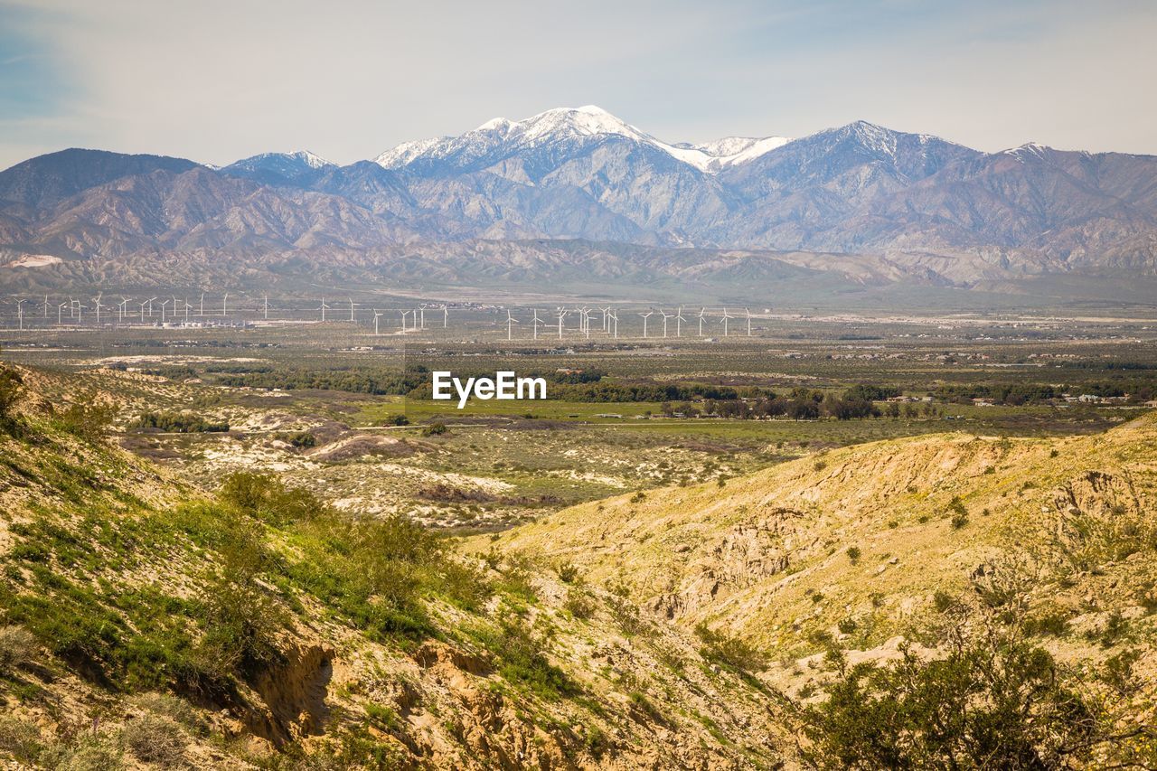 SCENIC VIEW OF TREE MOUNTAINS AGAINST SKY