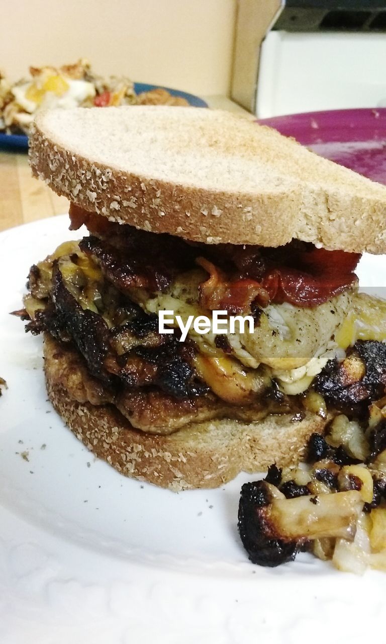 CLOSE-UP OF FOOD ON PLATE