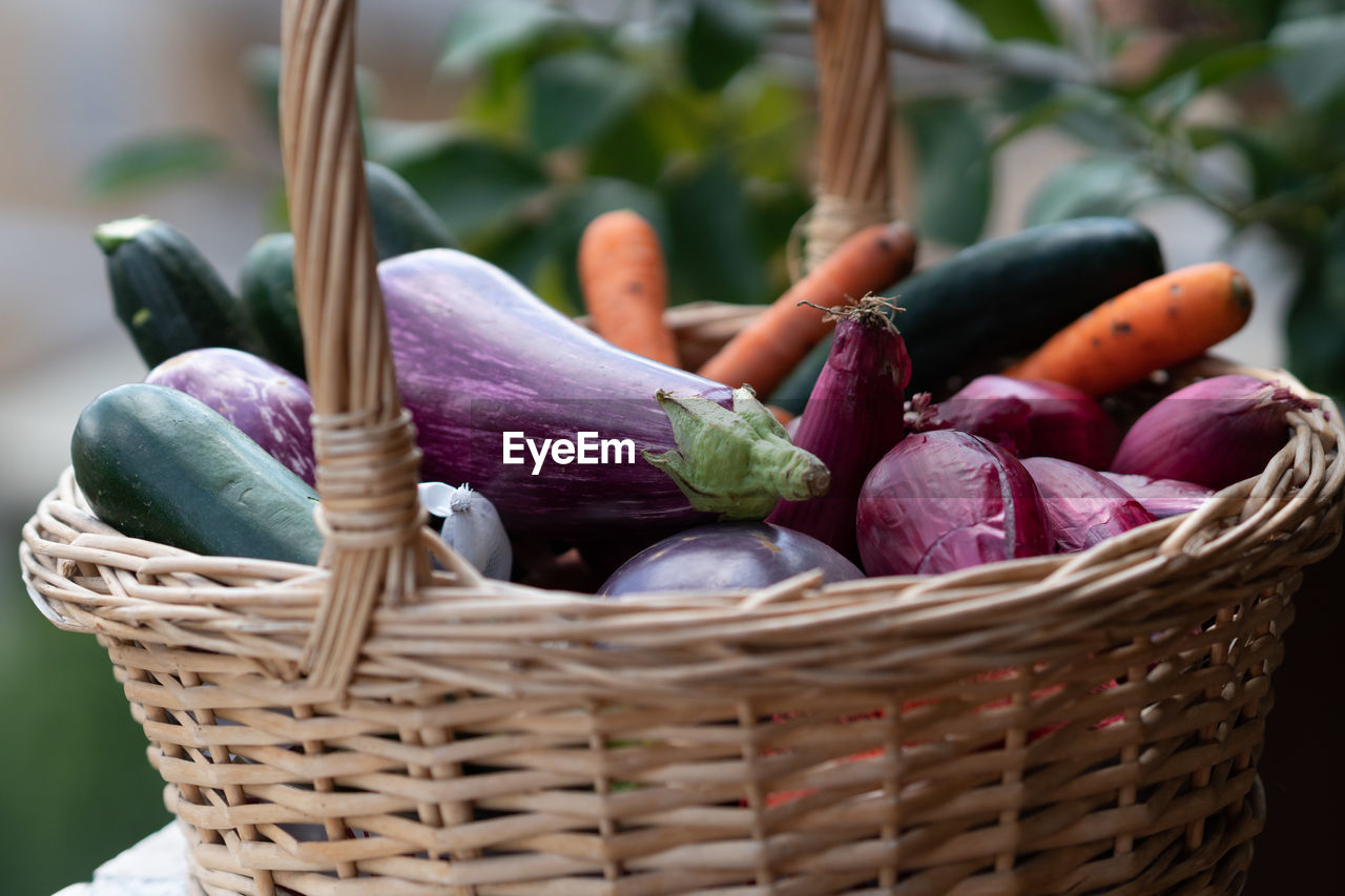Wicker basket full of vegetables, eggplants, carrots, zucchini, and shallots. selective focus