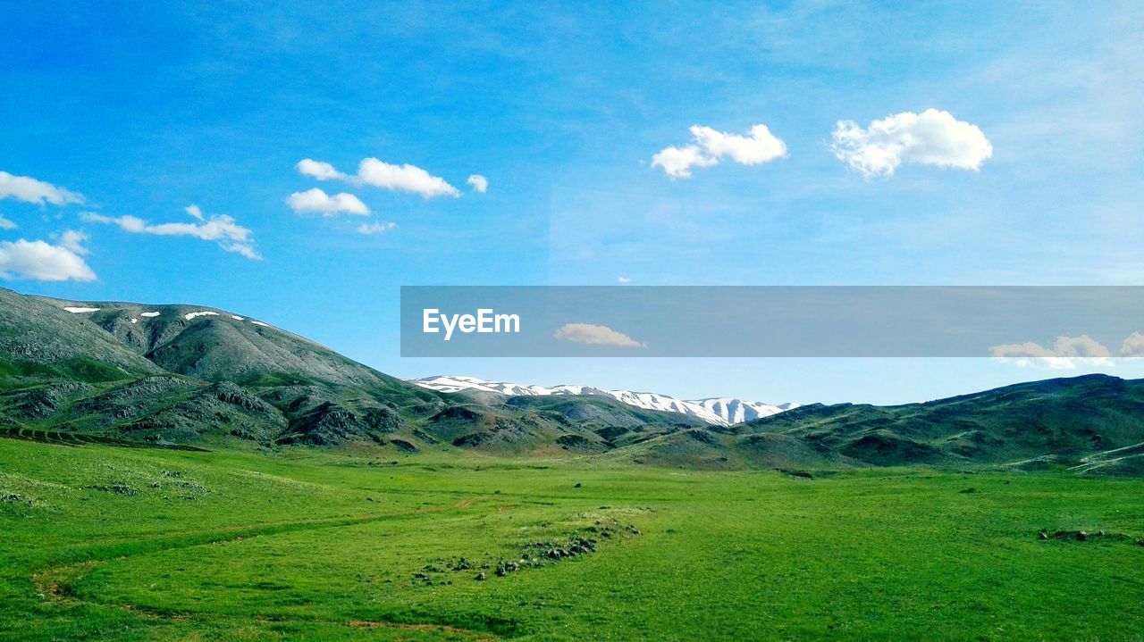 Scenic view of field against sky