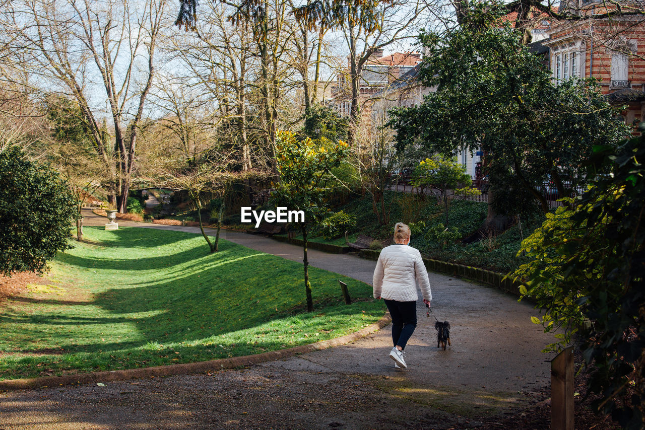 rear view of man walking on footpath in park