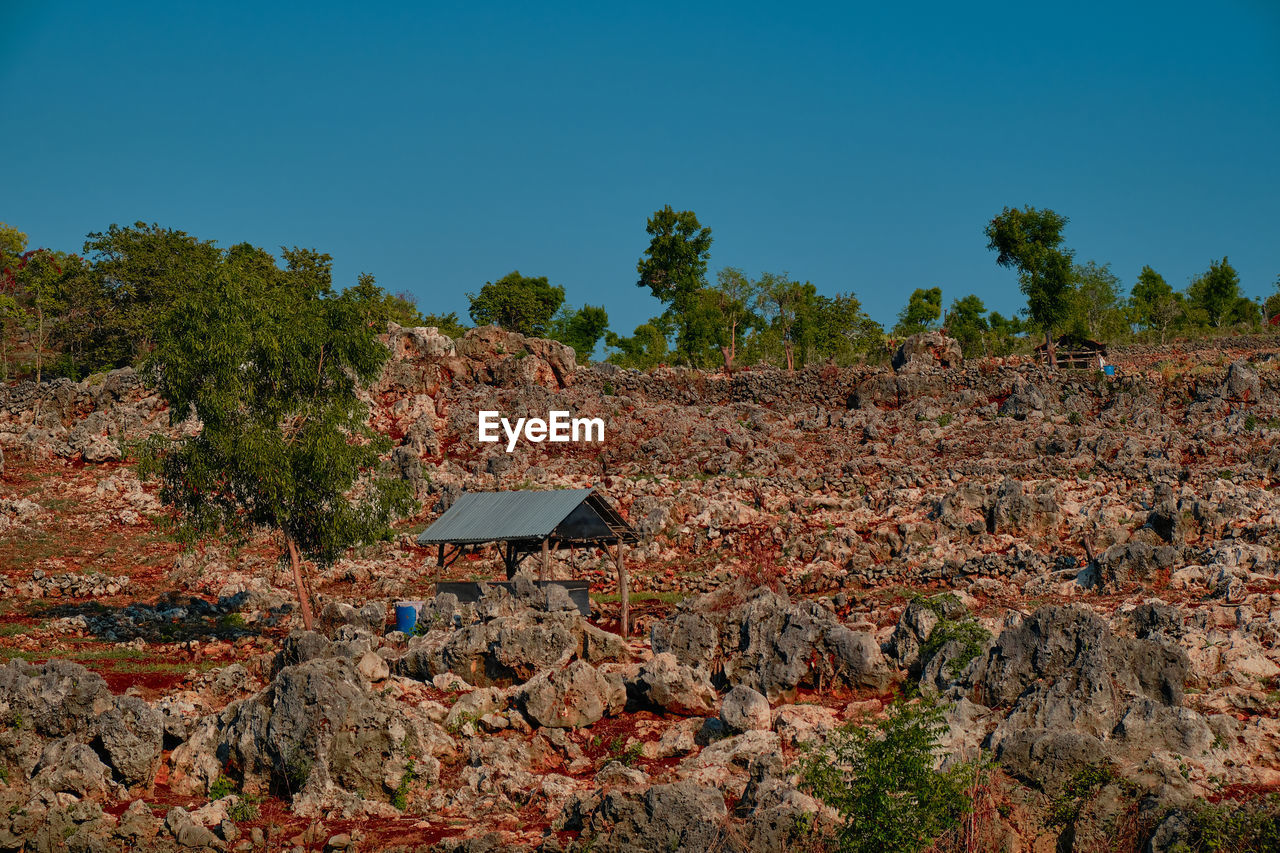 rock, plant, nature, sky, soil, tree, architecture, landscape, land, no people, environment, natural environment, wilderness, built structure, rural area, autumn, building, clear sky, house, hill, outdoors, blue, day, building exterior, leaf, geology, scenics - nature, ruins, field, rural scene, non-urban scene