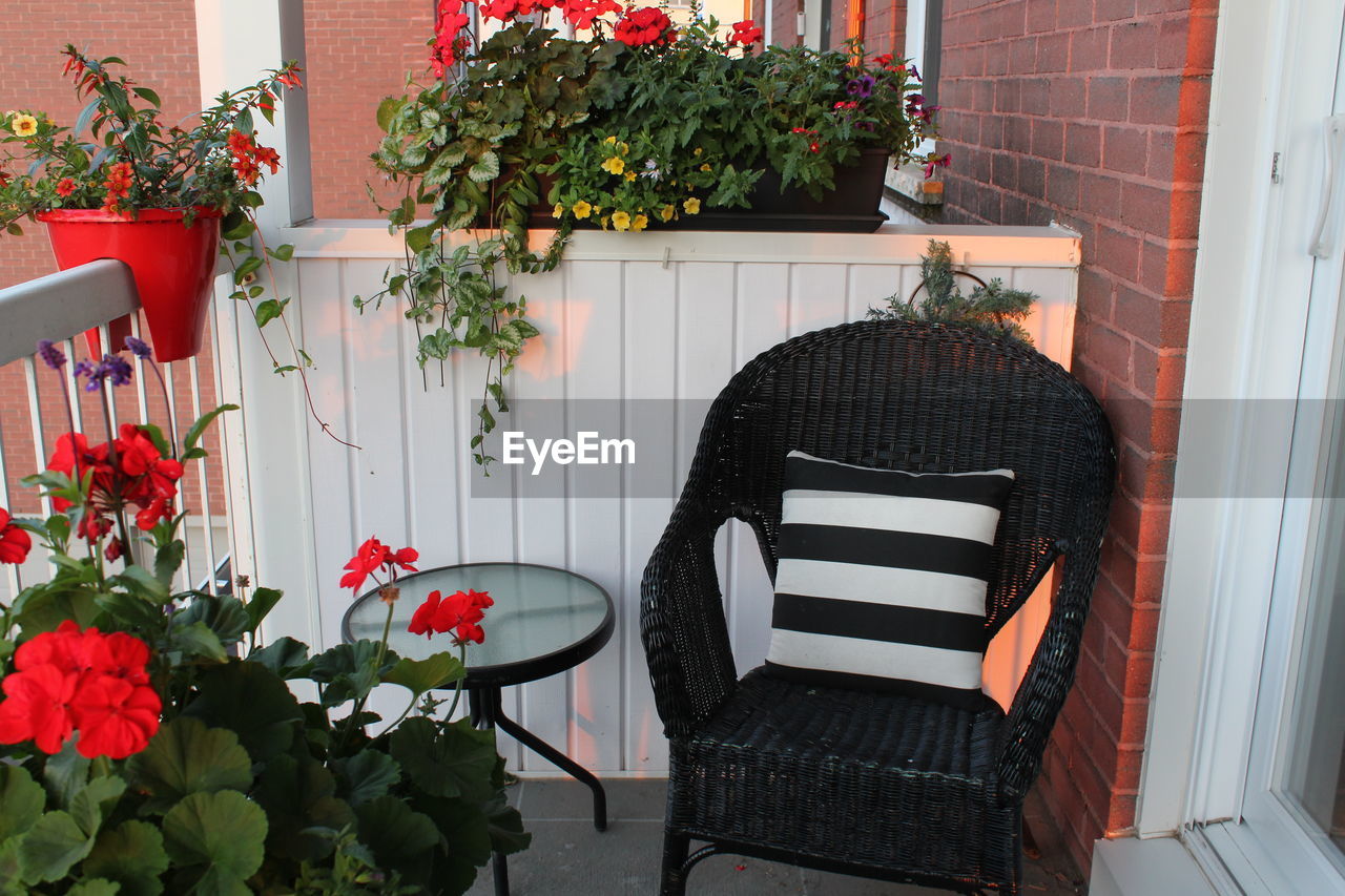 POTTED PLANTS ON TABLE AND CHAIRS AT SIDEWALK