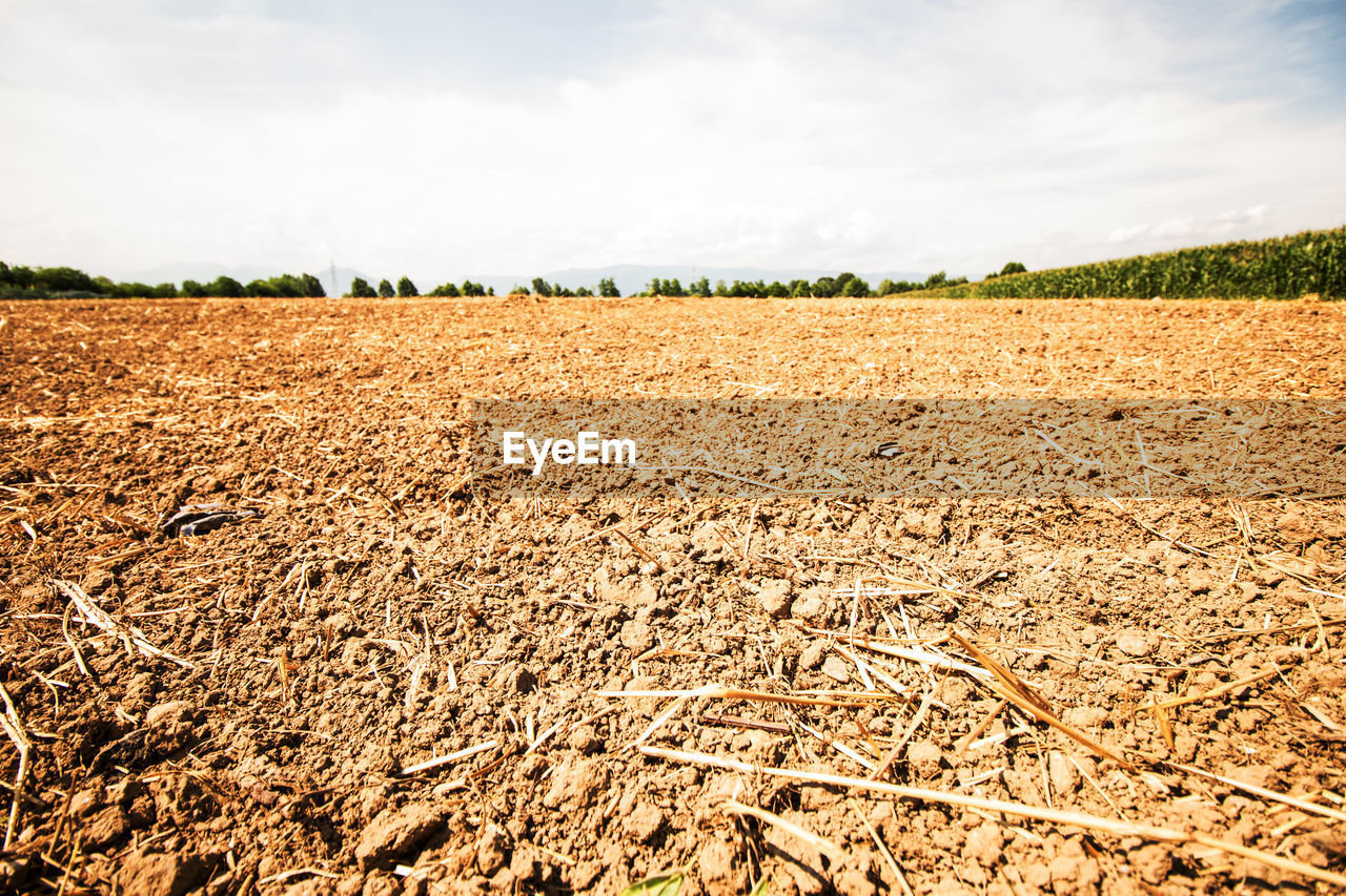 SCENIC VIEW OF RURAL LANDSCAPE