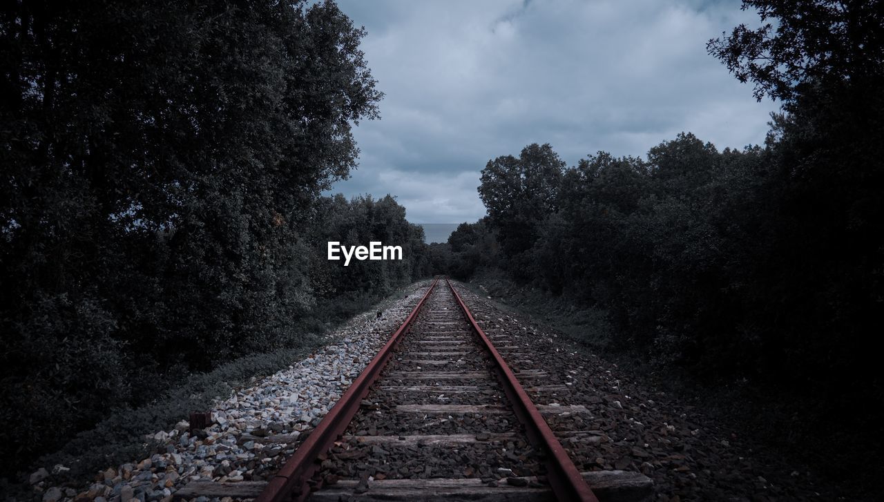 Railroad tracks amidst trees against sky