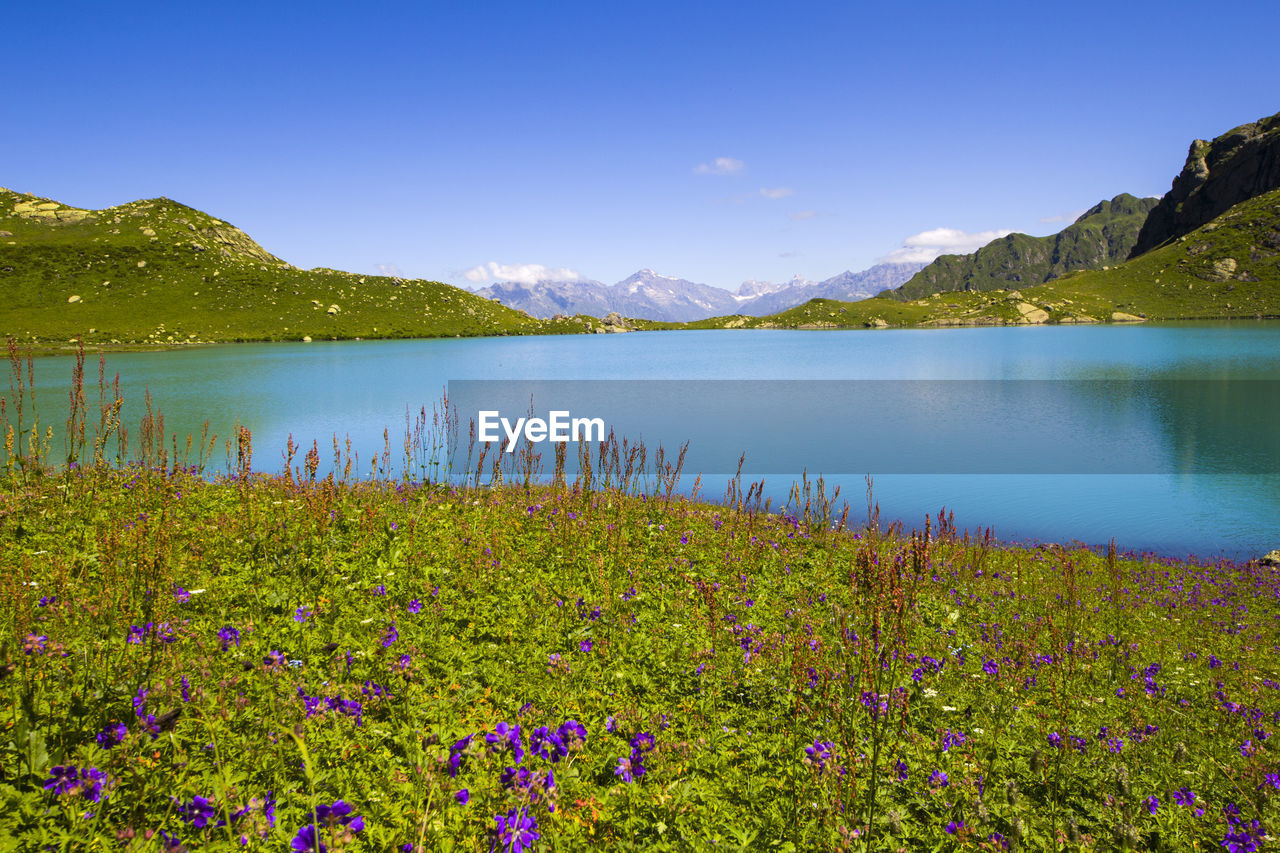 Alpine mountain lake landscape and view, blue beautiful and amazing lake panorama