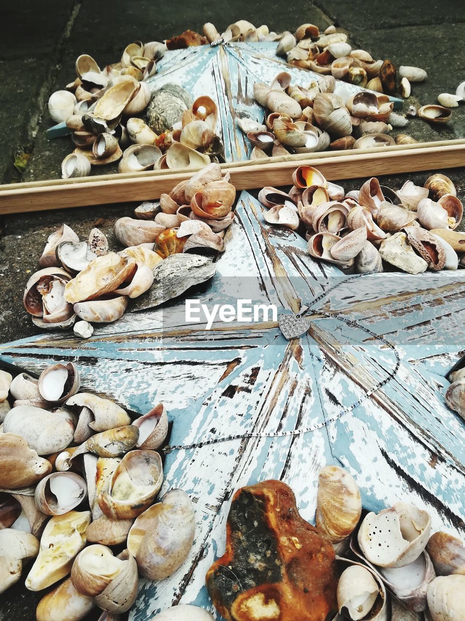 HIGH ANGLE VIEW OF FISHES IN MARKET