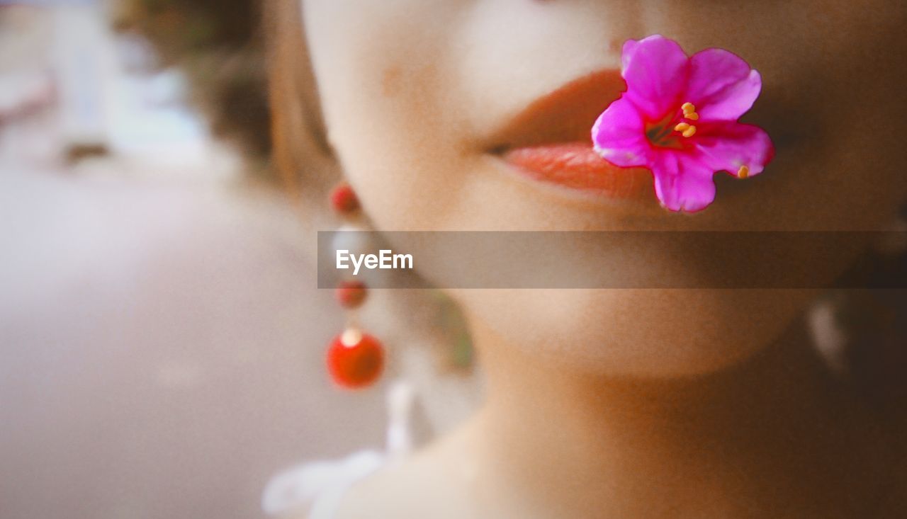 Close-up of woman with pink flower in mouth