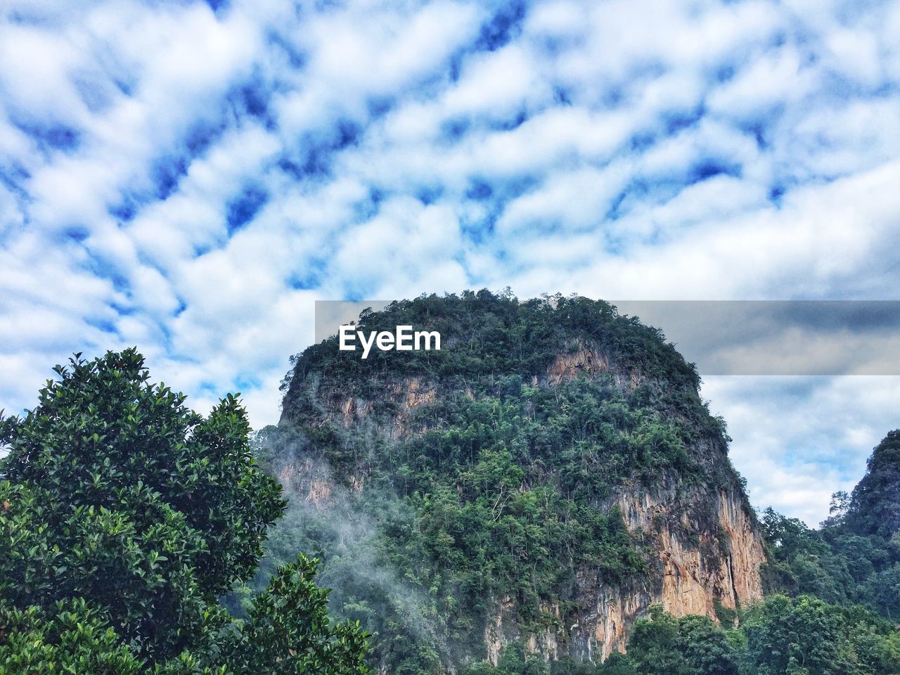 Low angle view of trees against sky