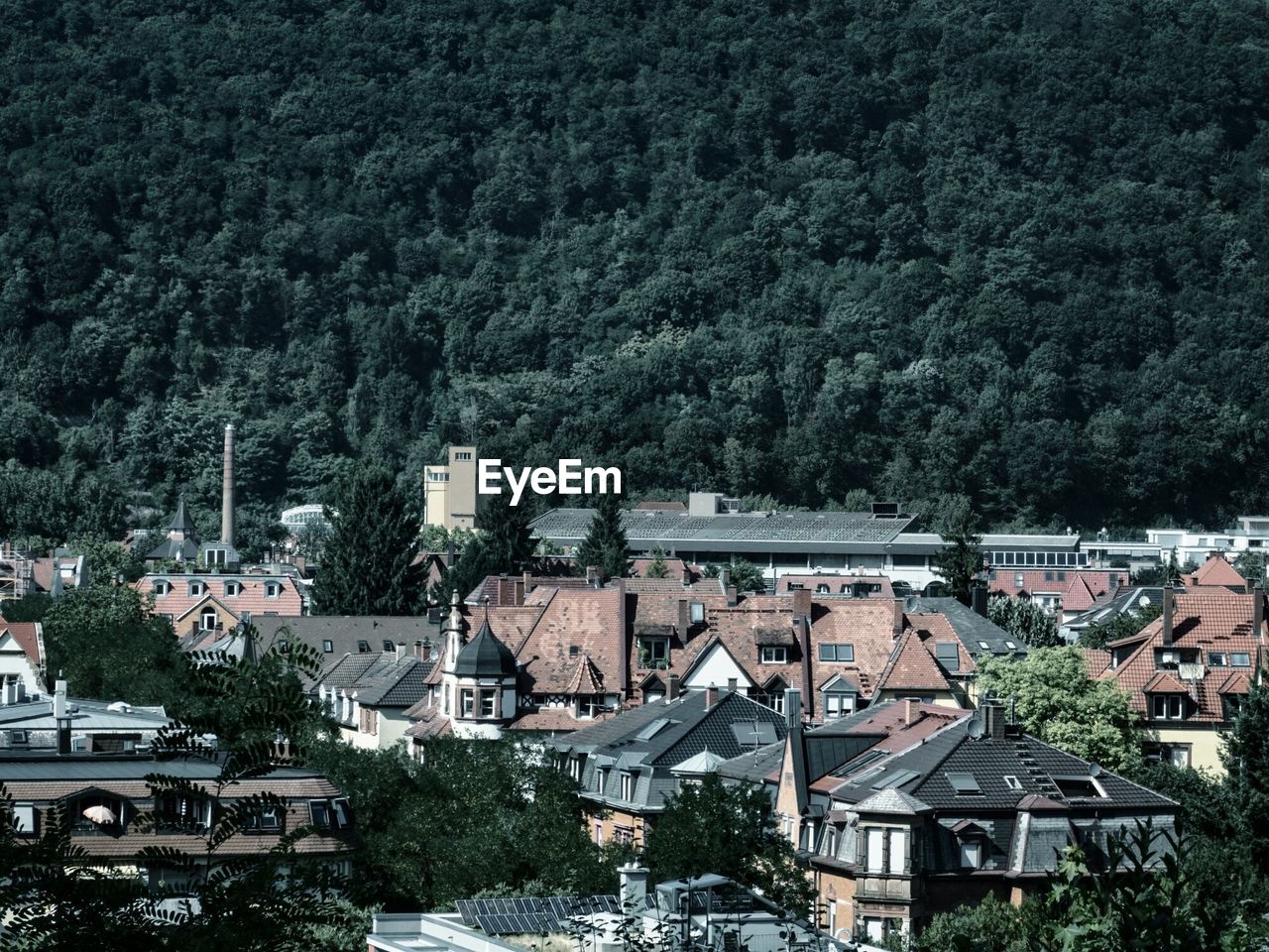 High angle view of houses in town