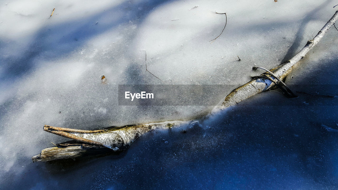 Close-up of frozen water