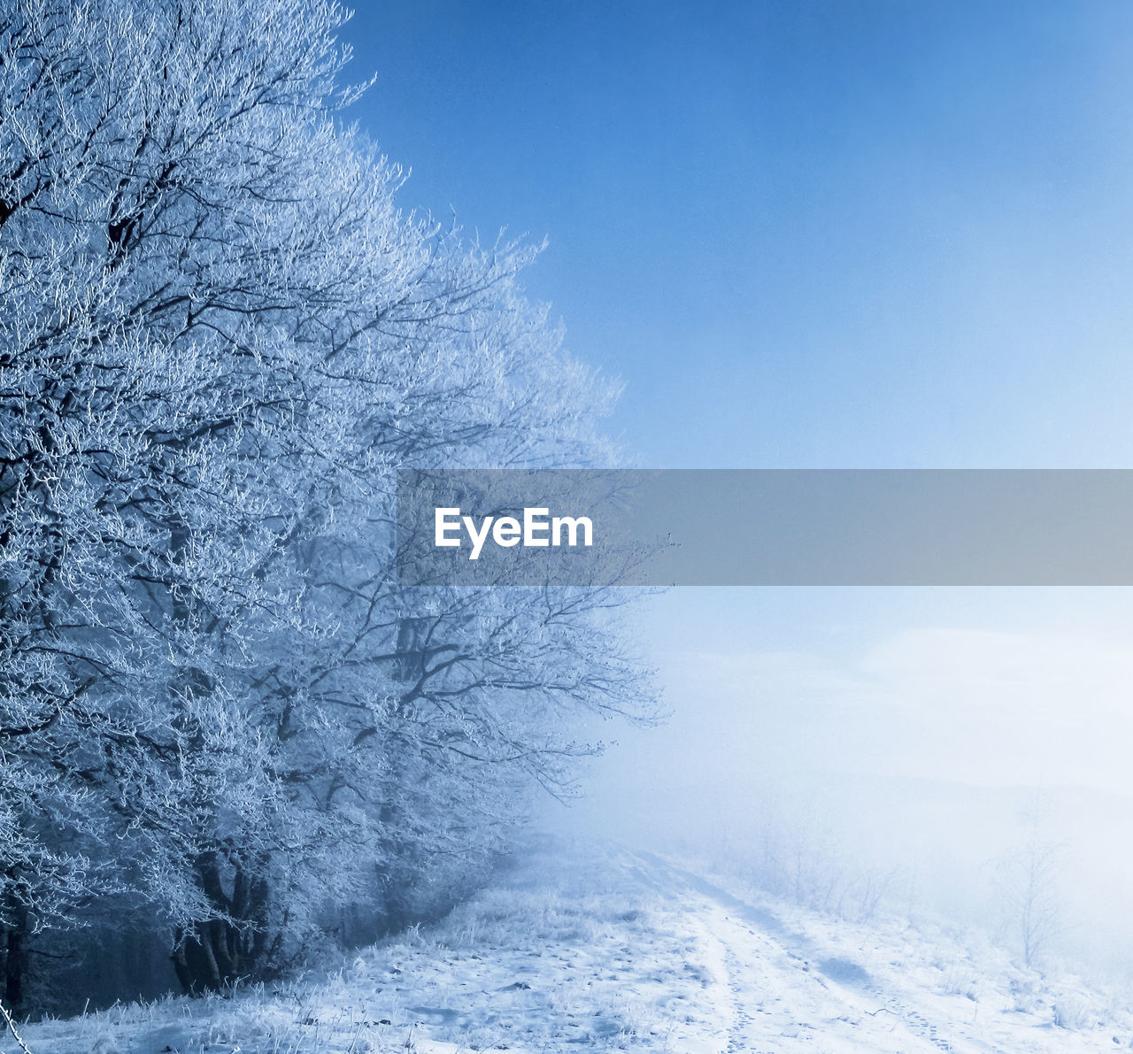 Road to unknown - winter wonderland. calugaru hill, rasinari village, sibiu county, romania, 900m