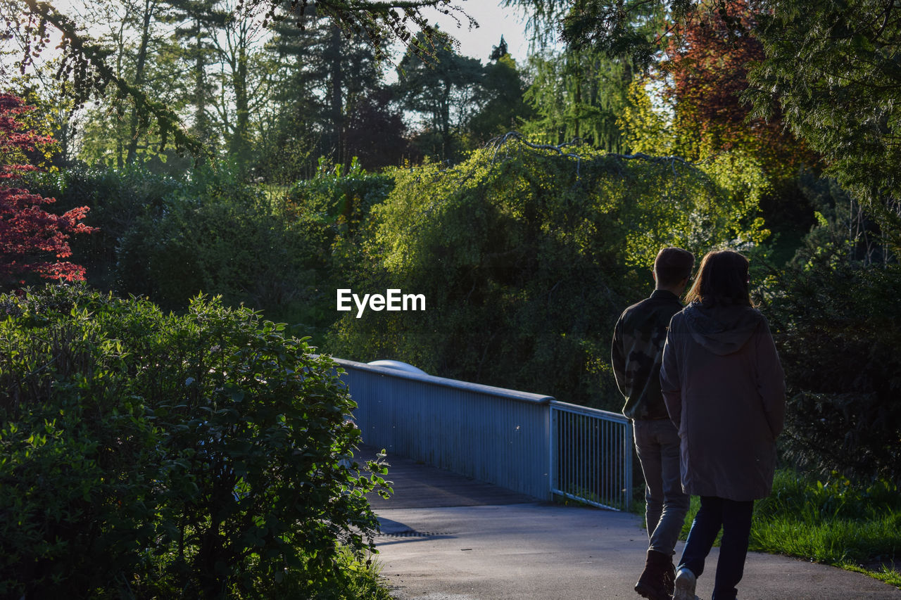 Rear view of couple walking on road by trees in park