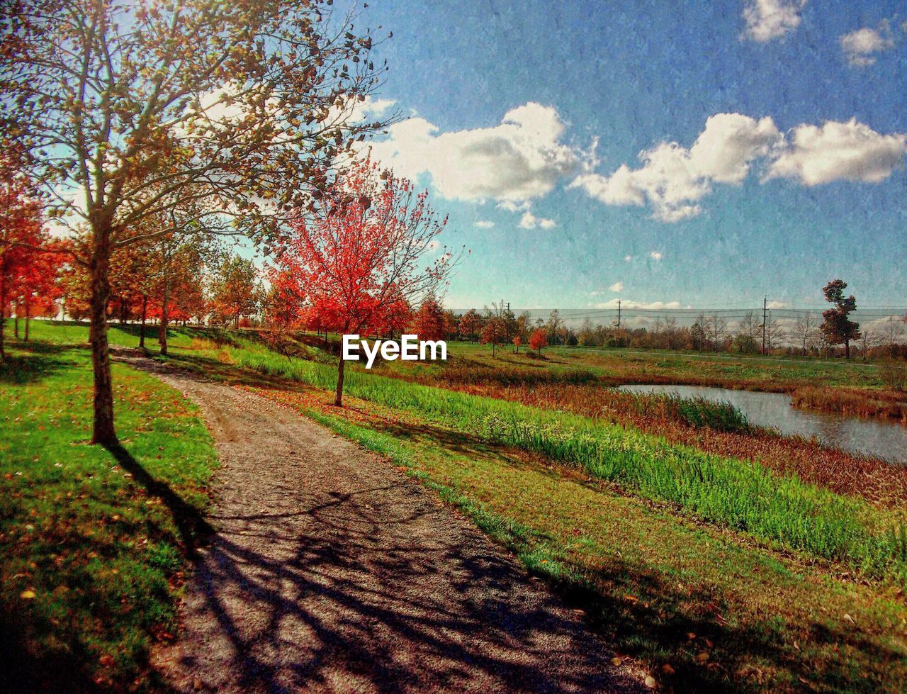 ROAD PASSING THROUGH LANDSCAPE