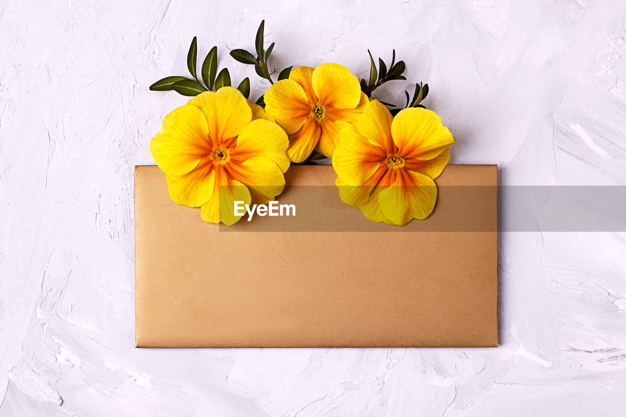 Invitation or greeting card mockup with golden envelope and yellow primrose flowers 