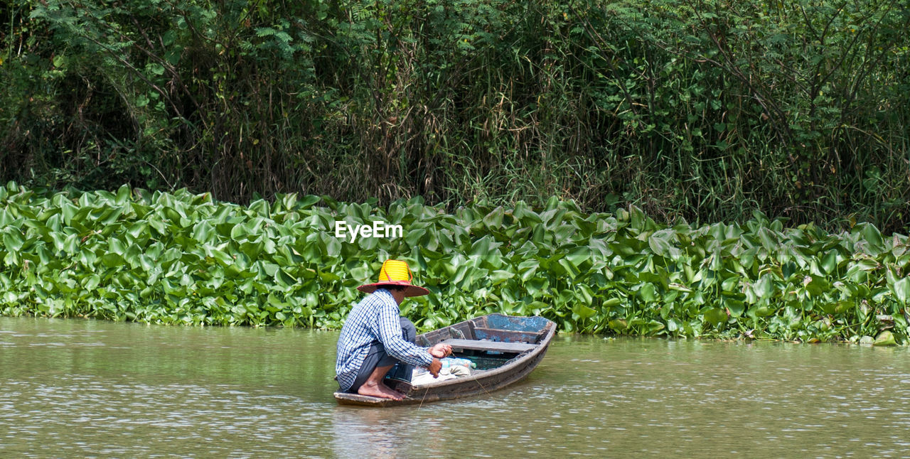 TREES IN LAKE