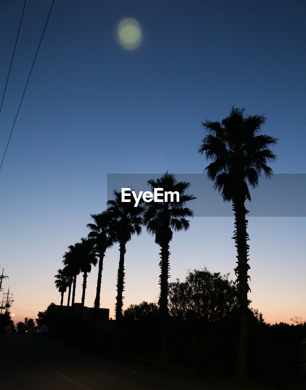 Silhouette coconut palm trees against clear sky during sunset