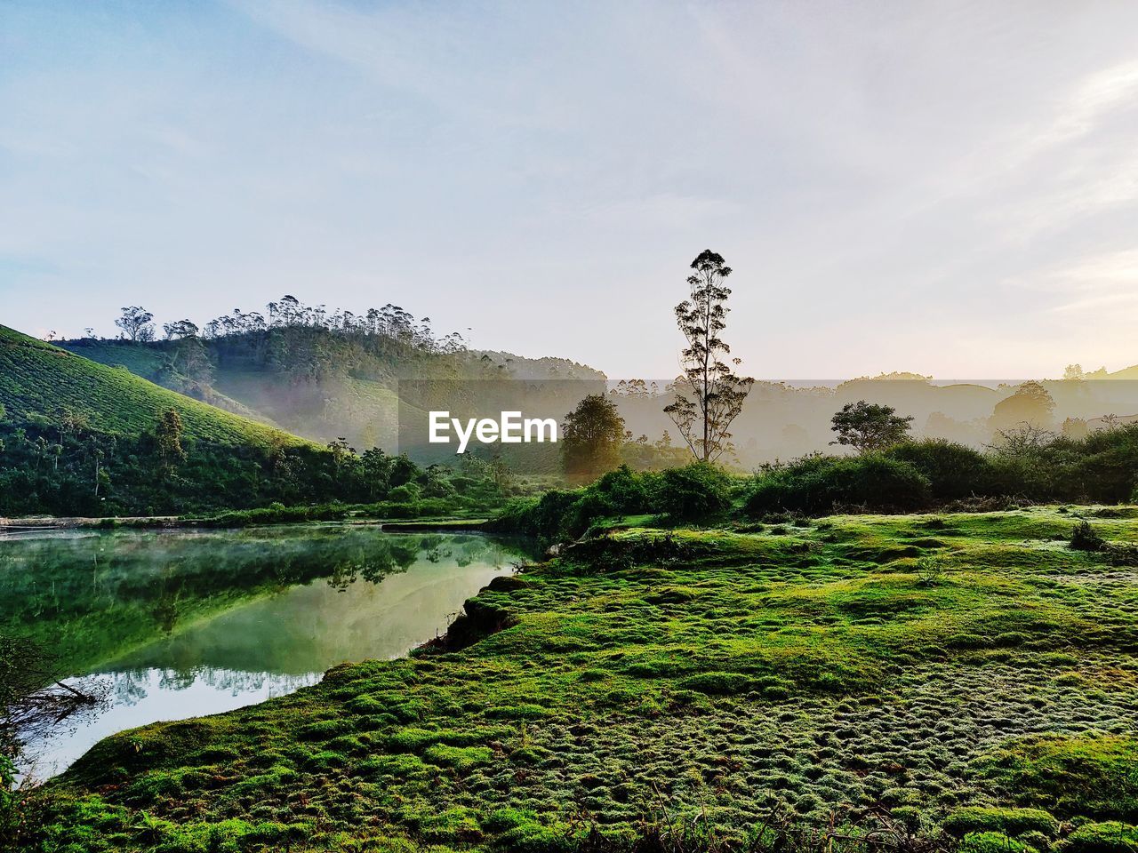 SCENIC VIEW OF LAND AND TREES AGAINST SKY