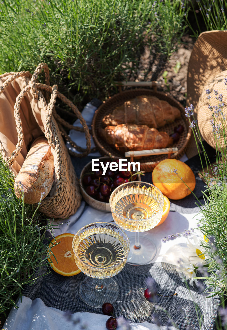 Summer picnic on a lavender field with champagne glasses and fruits