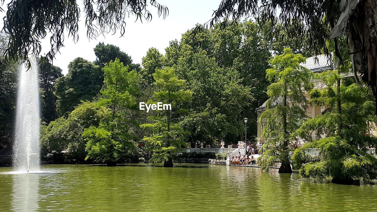 Water fountain amidst pond by trees in park