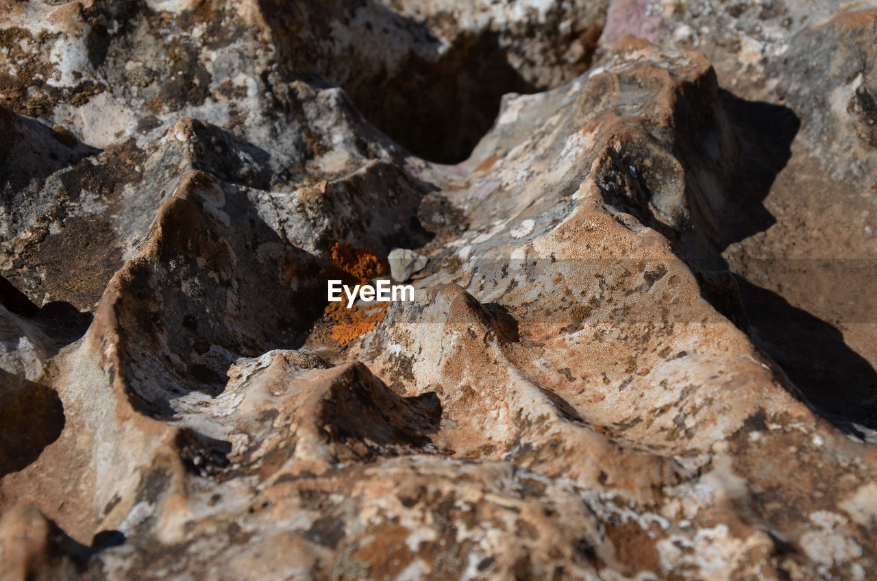 CLOSE-UP OF A ROCK