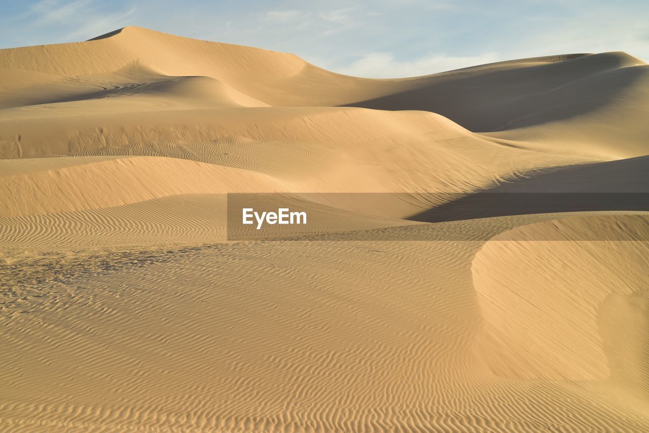 Sand dunes in a desert