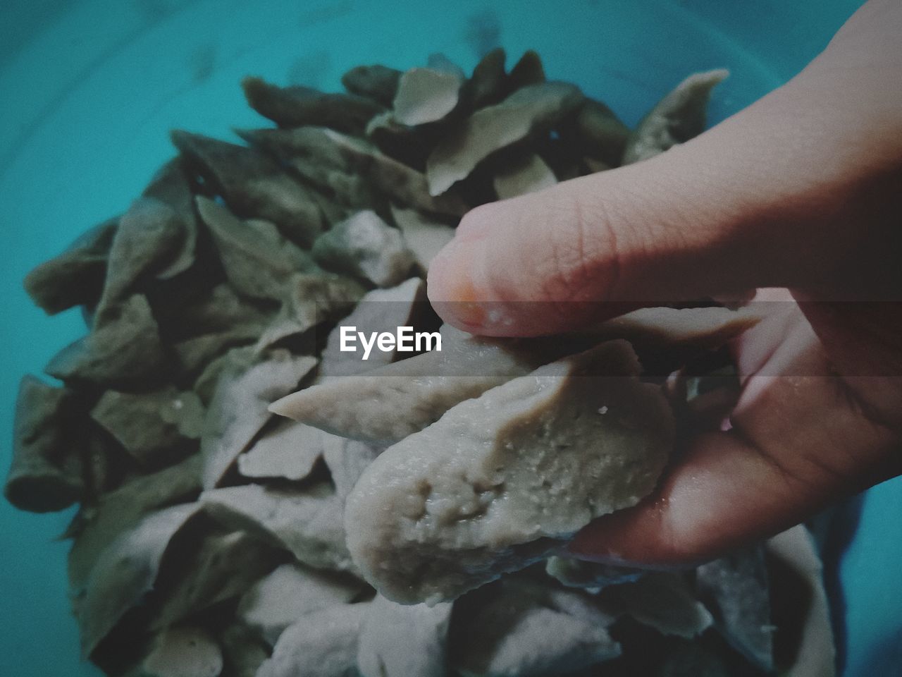 CLOSE-UP OF HAND HOLDING MEAT IN PLATE