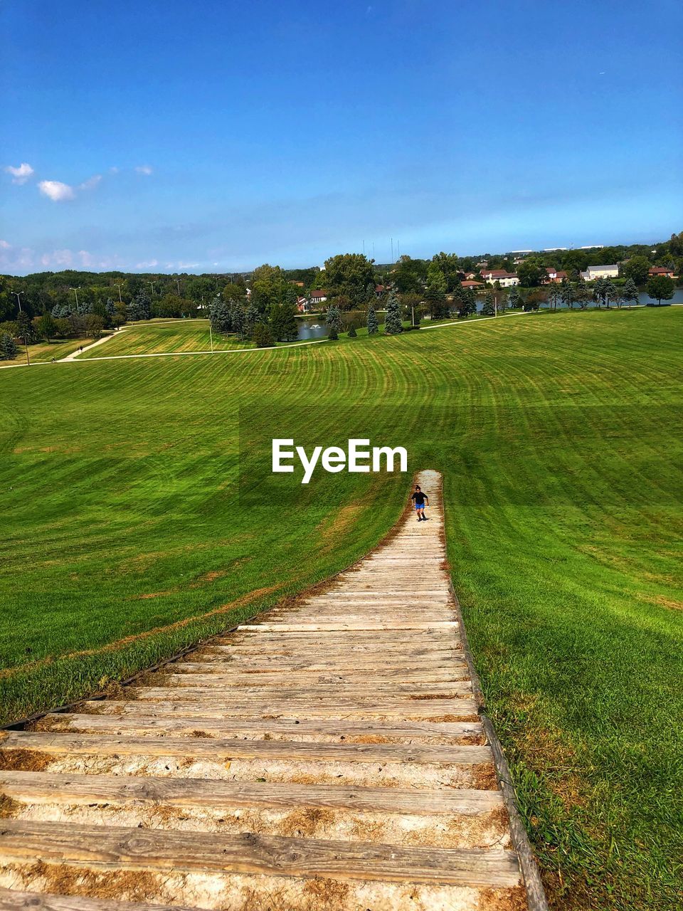 FOOTPATH AMIDST GRASS ON FIELD