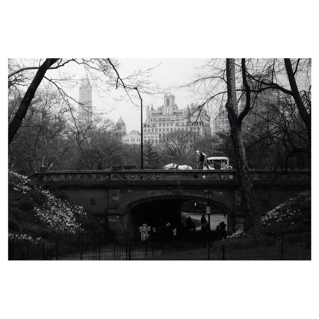 Old stone bridge with carriage