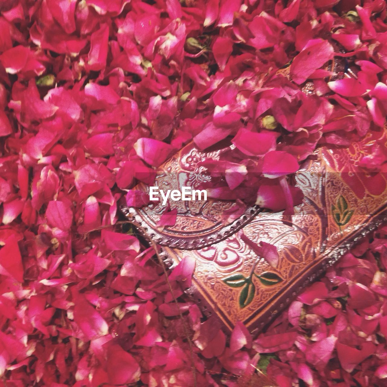 High angle view of purse amidst flower petals