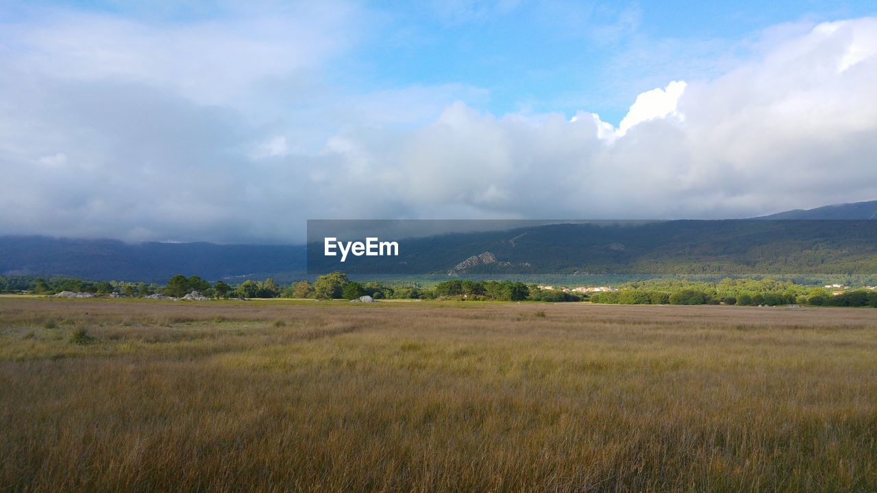 Scenic view of field against sky