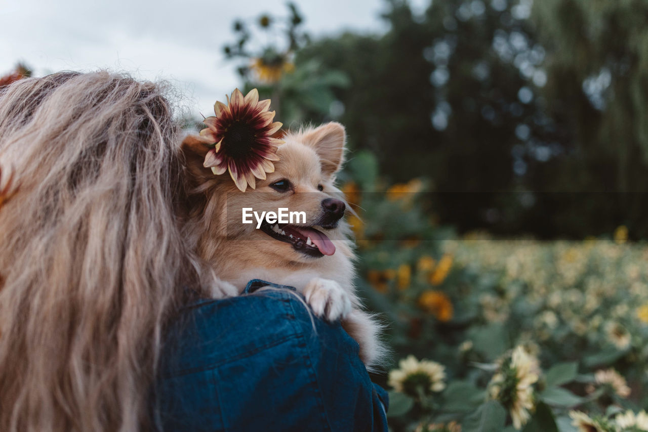 Rear view of woman holding dog while standing by plants