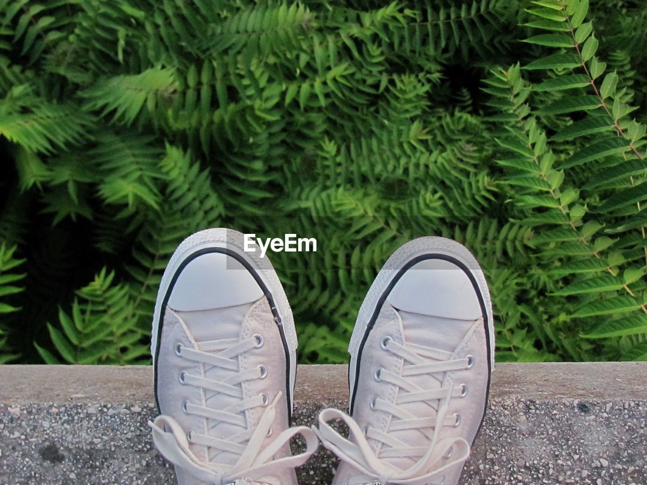 HIGH ANGLE VIEW OF SHOES ON LEAVES