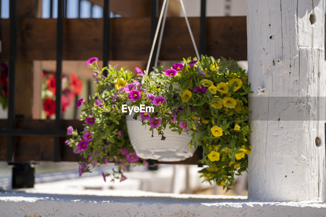 A hanging flower pot or vase outdoor.