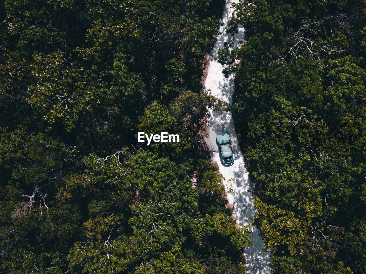 High angle view of car on road amidst trees in forest