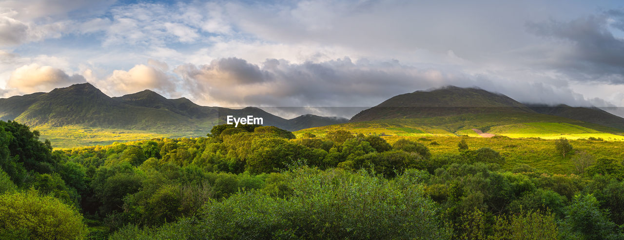 Green forest and mountain range illuminated by sunlight, macgillycuddys reeks mountains, ireland