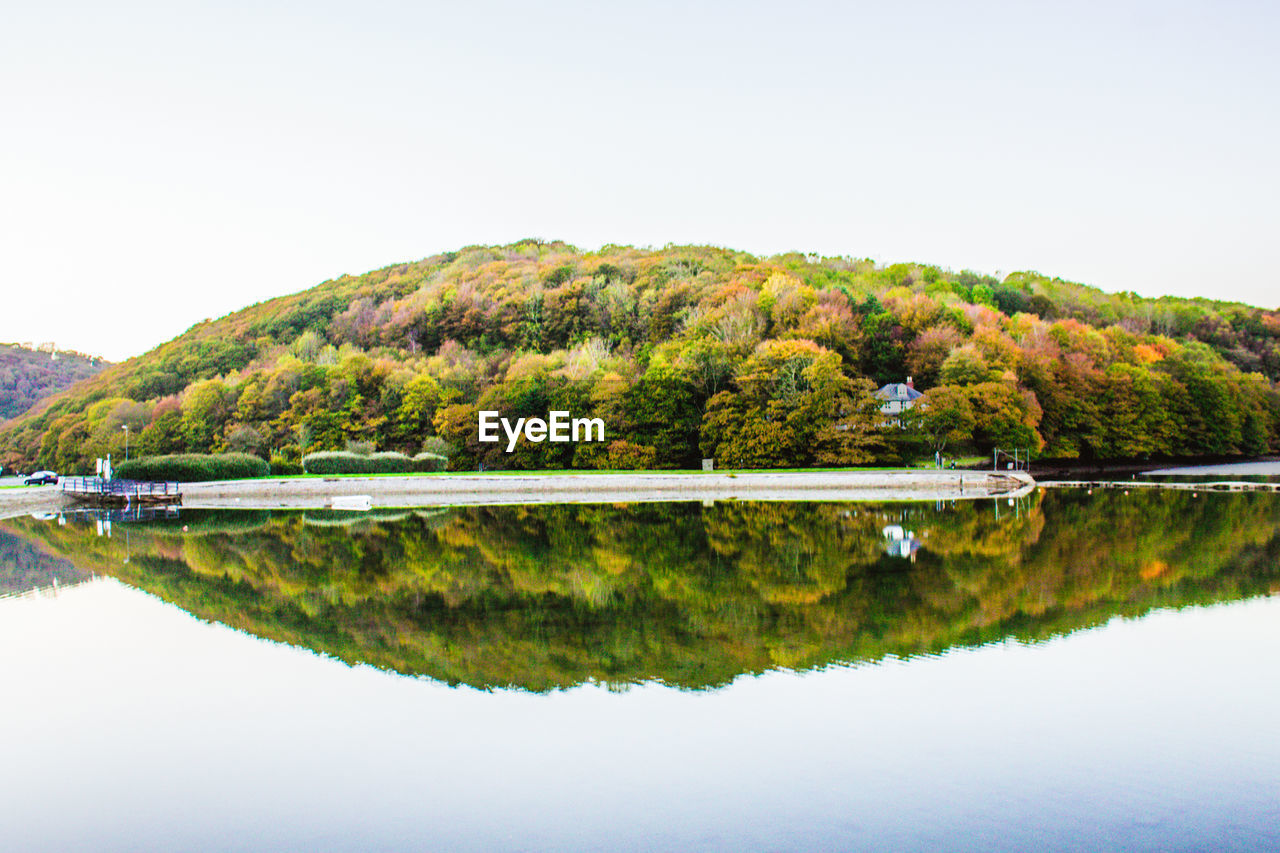 Scenic view of lake by trees against clear sky