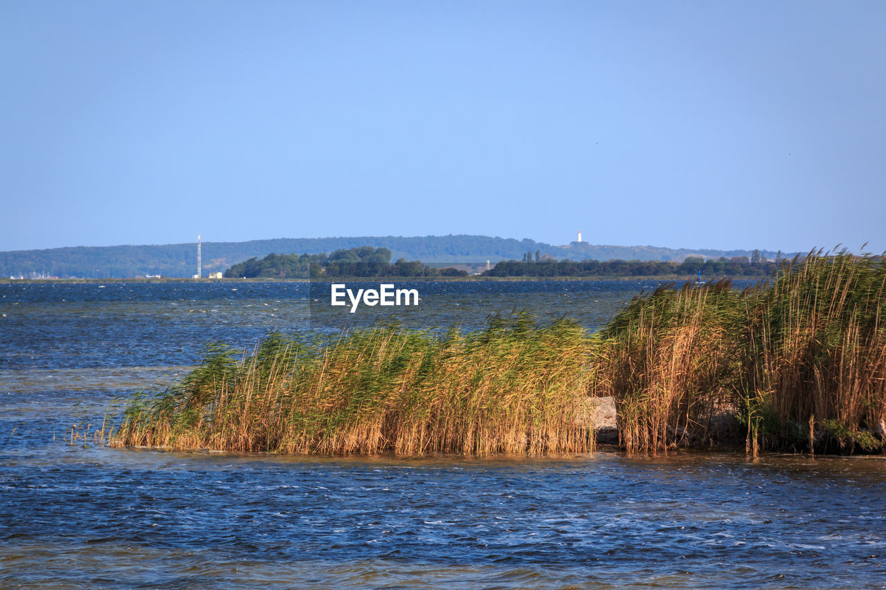 PANORAMIC SHOT OF SEA AGAINST CLEAR BLUE SKY