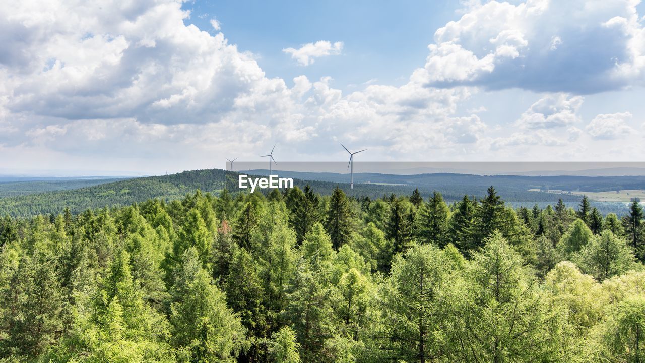 Scenic view of trees against cloudy sky