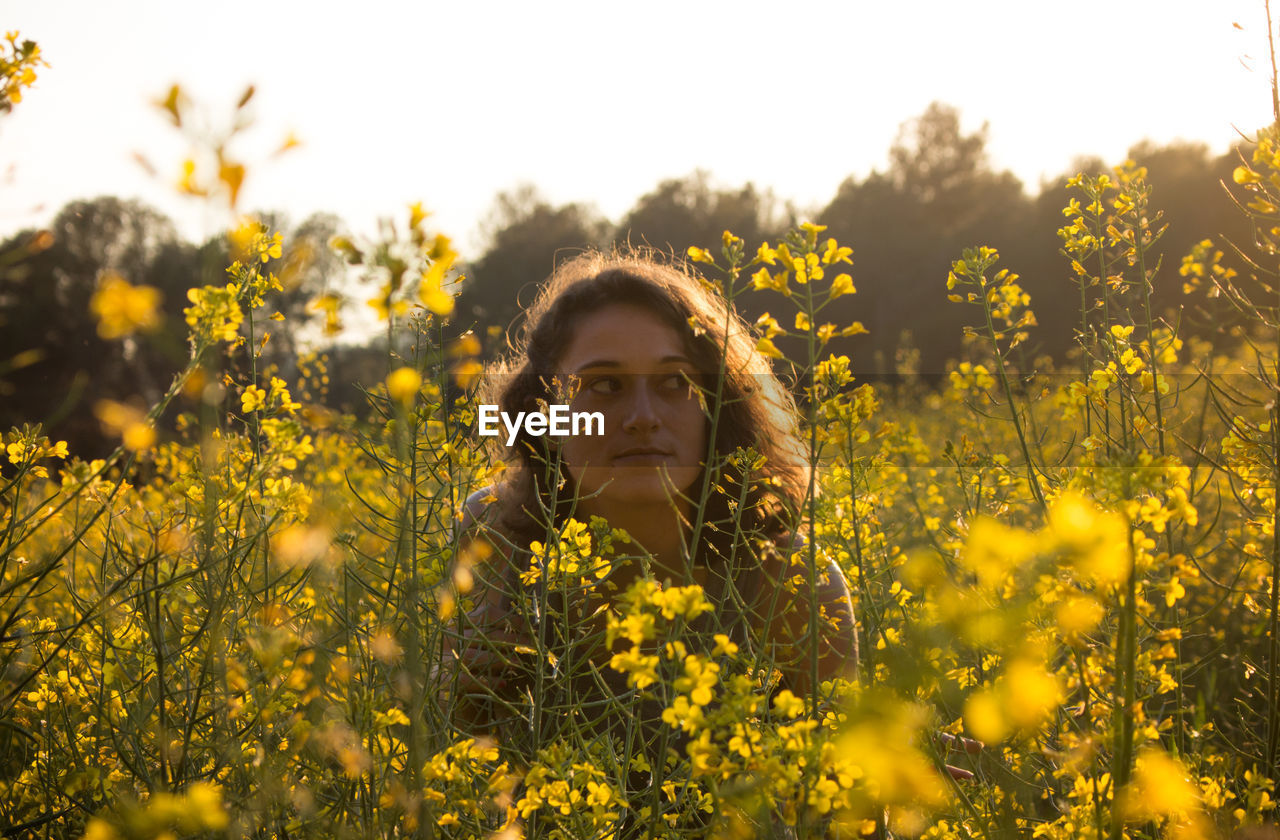 Young woman looking away amidst yellow flowers blooming on field