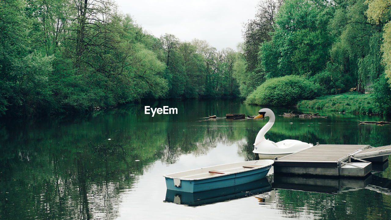 BIRD IN A LAKE