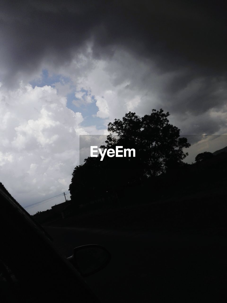 LOW ANGLE VIEW OF TREES AGAINST CLOUDY SKY