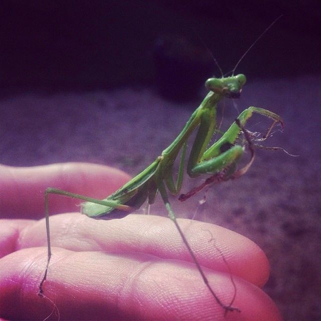 CLOSE-UP OF CROPPED HANDS