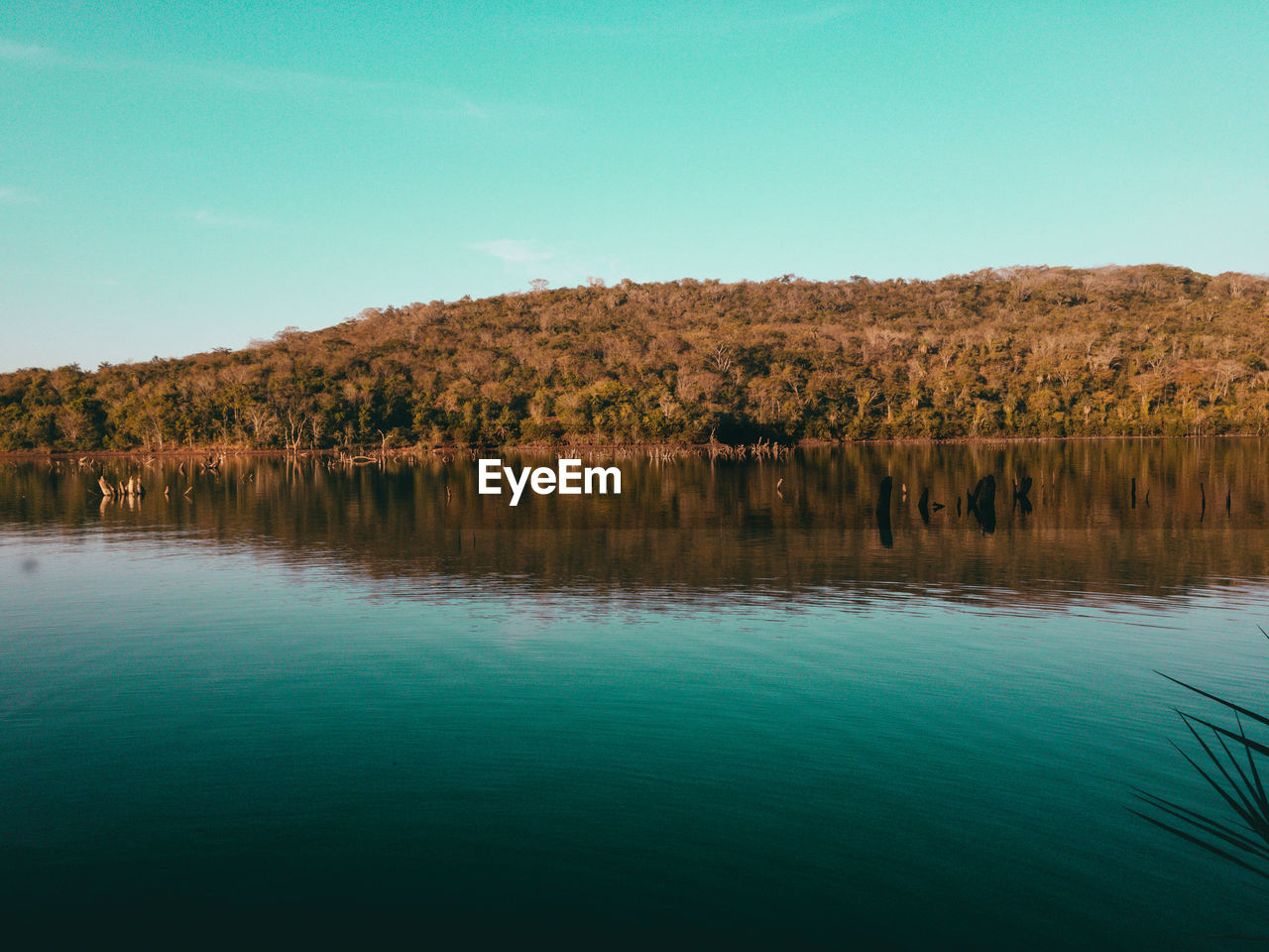 SCENIC VIEW OF LAKE AGAINST CLEAR SKY