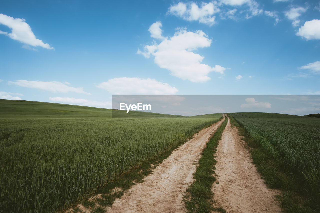 Scenic view of agricultural field against sky