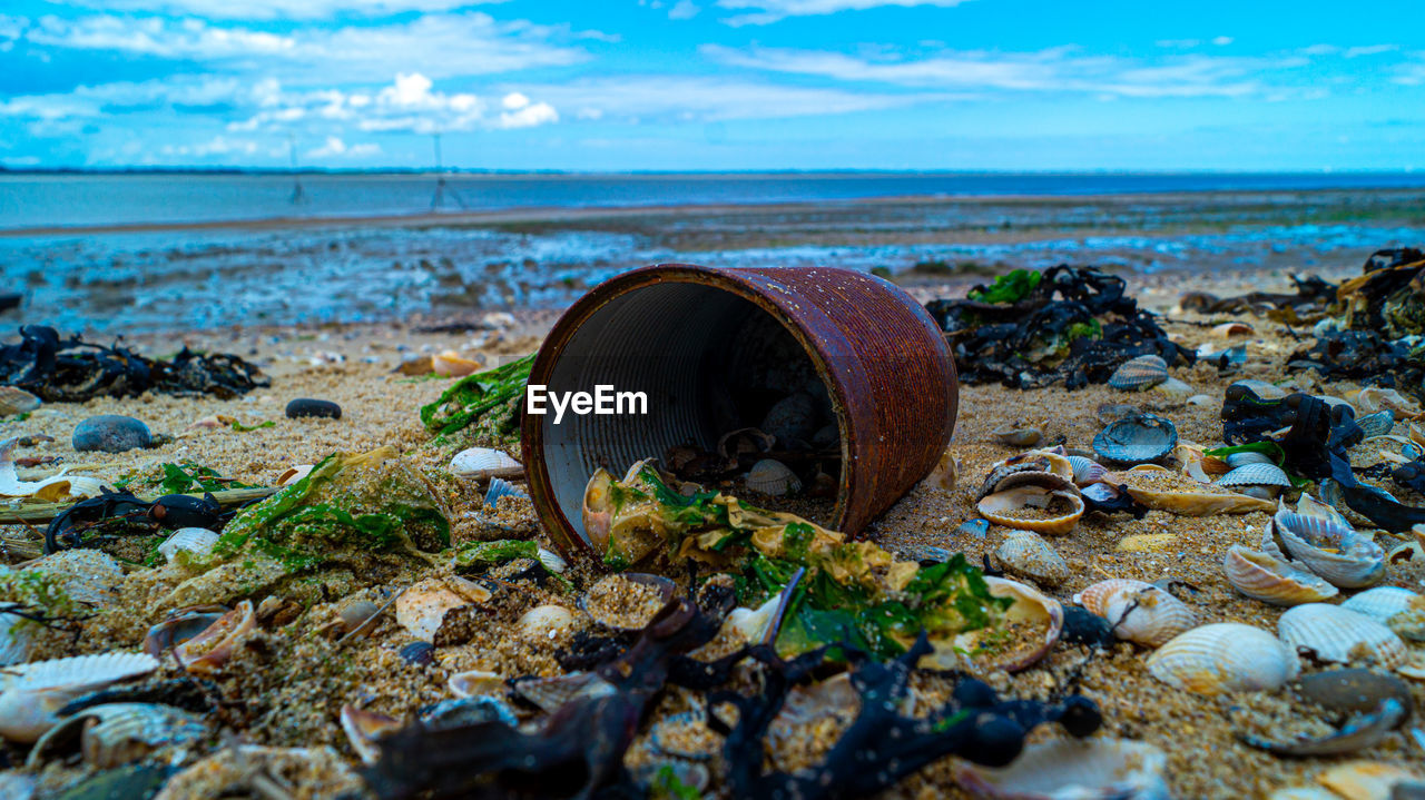 Close up of rusted can weathered on beach sand pollution litter rubbish in the ocean